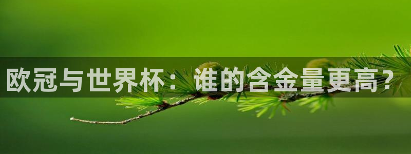 2026世界杯倒计时：欧冠与世界杯：谁的含金量更高？