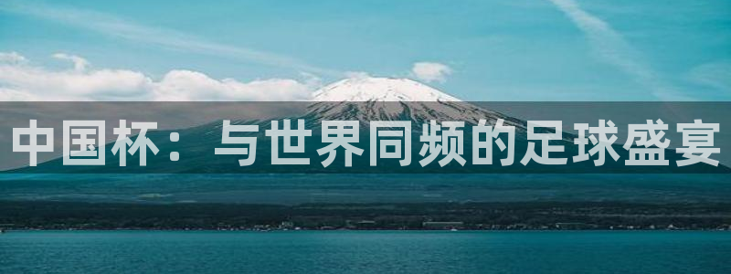 2026足球世界杯：中国杯：与世界同频的足球盛宴