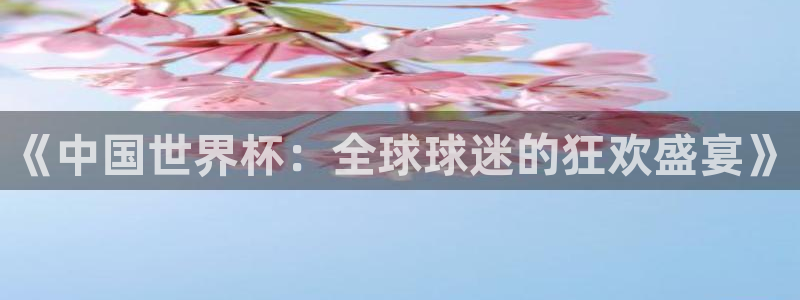 世界杯转播表：《中国世界杯：全球球迷的狂欢盛宴》