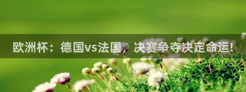 2006年世界杯冠军：欧洲杯：德国vs法国，决赛争夺决定命运!