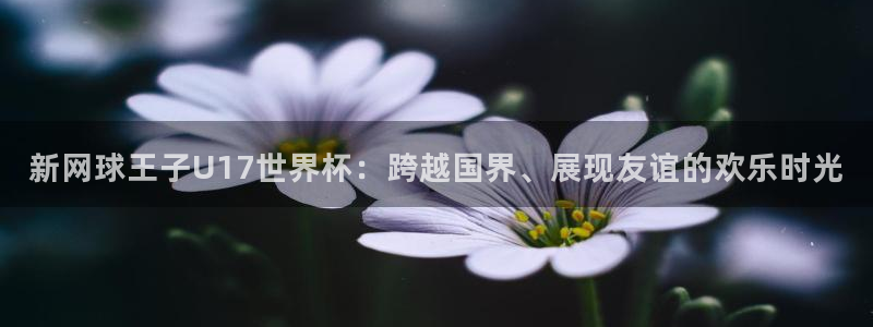 2026世界杯买球：新网球王子U17世界杯：跨越国界、展现友谊的欢乐时光