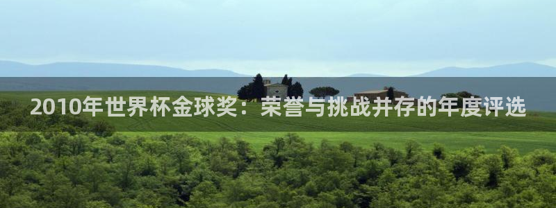 世界杯欧洲预选赛：2010年世界杯金球奖：荣誉与挑战并存的年度评选