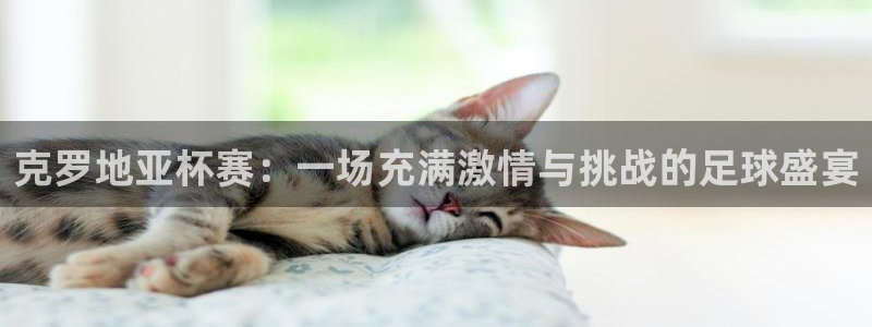 足球杯：克罗地亚杯赛：一场充满激情与挑战的足球盛宴