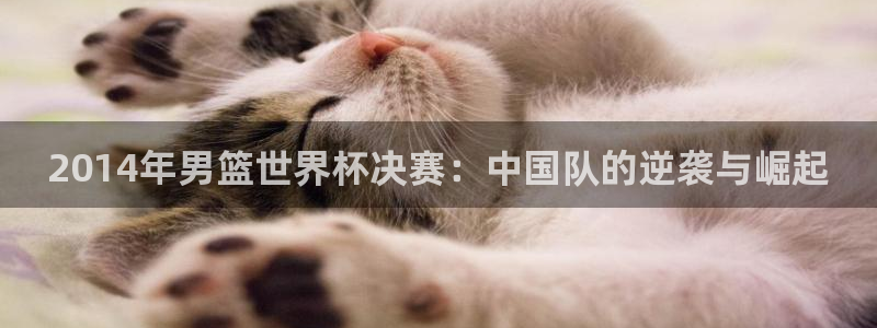 2026世界杯赛制：2014年男篮世界杯决赛：中国队的逆袭与崛起