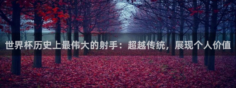 2026世界杯赛：世界杯历史上最伟大的射手：超越传统，展现个人价值