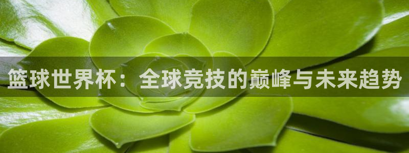 世界杯决赛预测：篮球世界杯：全球竞技的巅峰与未来趋势
