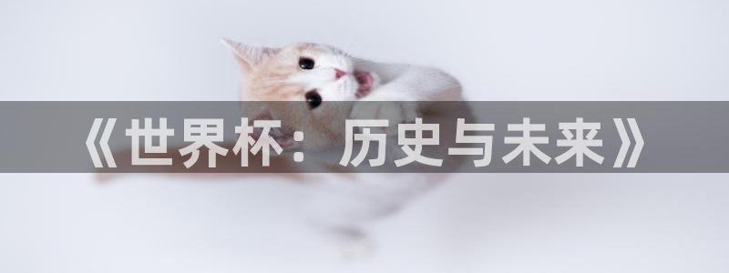 世界杯赛程2026：《世界杯：历史与未来》