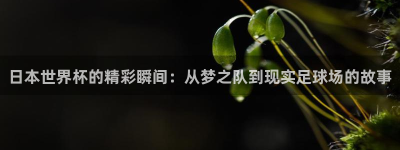 2026男足世界杯：日本世界杯的精彩瞬间：从梦之队到现实足球场的故事