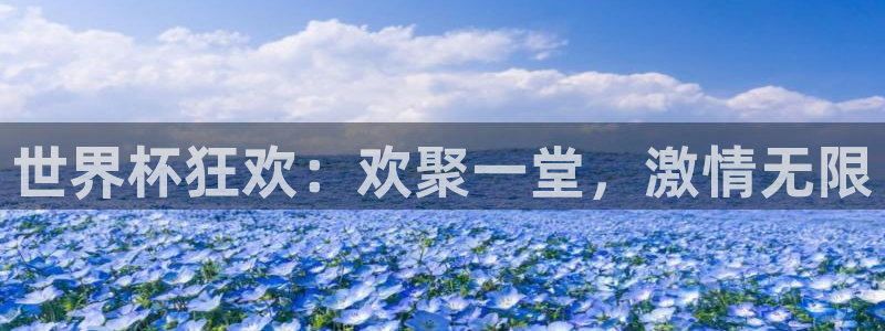 世界杯足球赛2026：世界杯狂欢：欢聚一堂，激情无限