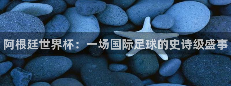 欧洲区世界杯预选赛：阿根廷世界杯：一场国际足球的史诗级盛事