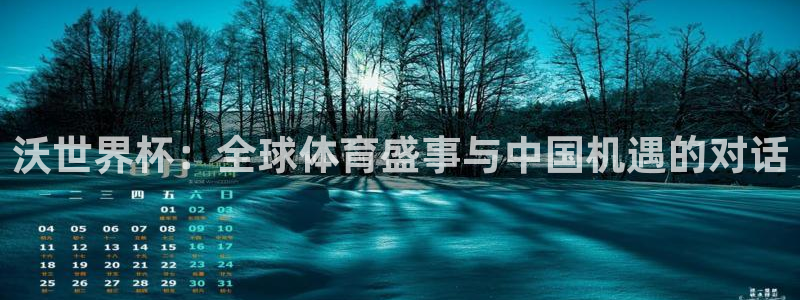 世界杯直播网：沃世界杯：全球体育盛事与中国机遇的对话