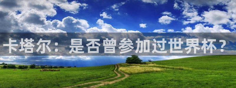 世界杯在线直播：卡塔尔：是否曾参加过世界杯？