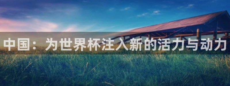 2026世界杯官网入口：中国：为世界杯注入新的活力与动力